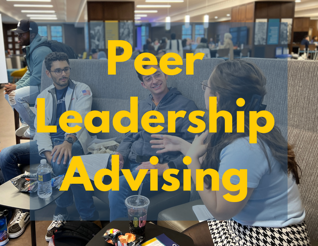 Peer Leadership Advising