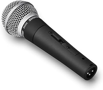 mic