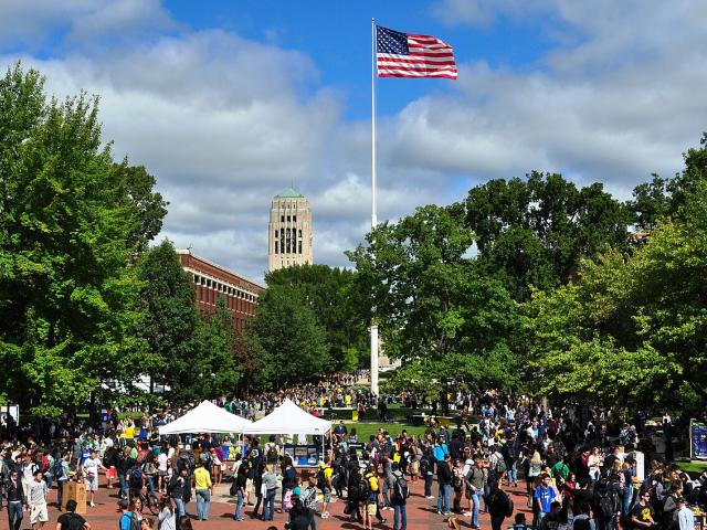 summer in the diag