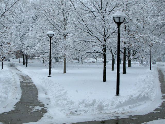 walkways cutting through snow with lampposts and trees